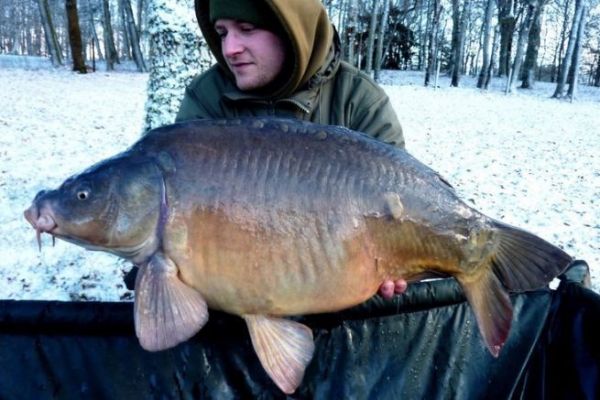 10 tips for fishing carp in cold water, in the heart of winter