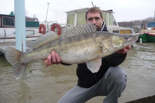 How to identify good flood spots for pike-perch fishing