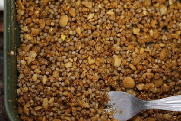 The steps to prepare a good stick-mix for carp fishing