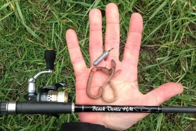 How to tie a Drop Shot Rig - Coarse Fishing Knots