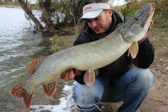 Choosing the right equipment for pike fishing with hard swimbaits