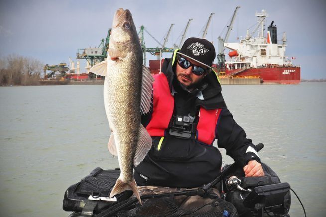 Canadian walleyes can reach very nice sizes.