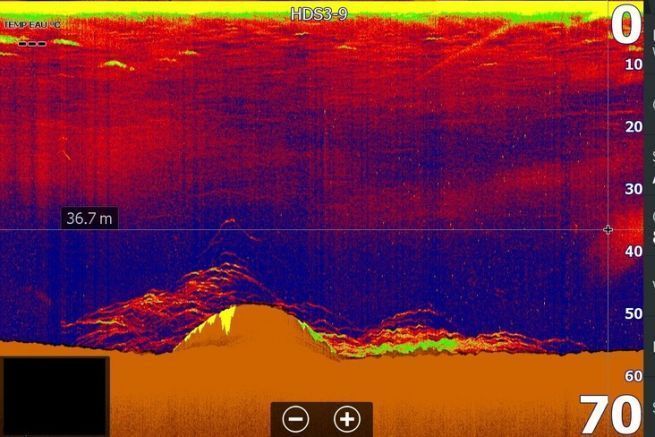 Analyze a screen capture of a sounder for fishing pollock on wrecks