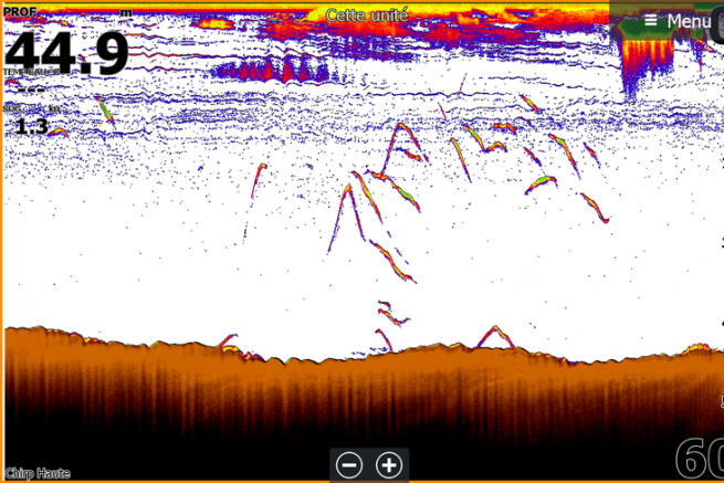 What do tuna echoes look like on your fishfinder?