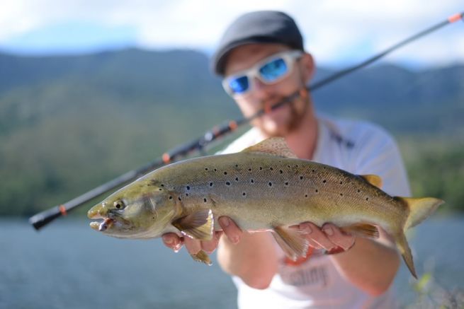 Grub or curly: try them for trout fishing in dam lakes!