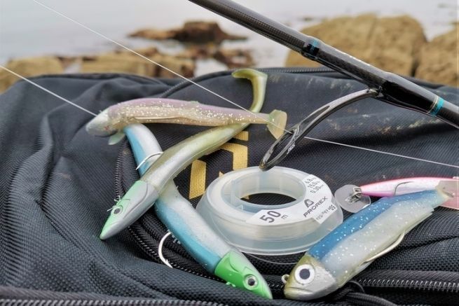 No need to overload yourself to practice fishing from the shore. A few lures, well chosen as here with the range F