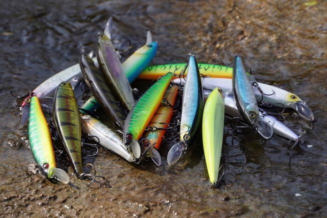 How to select the color of your jerkbait minnows when fishing for pike?