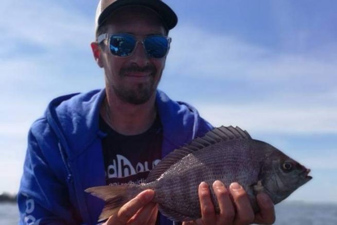 Sea bream will delight beginners and experienced anglers alike.