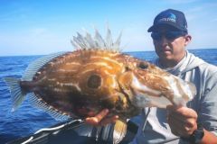 The Saint-Pierre attracts a lot of attention. Let's try to understand its way of life for successful fishing.