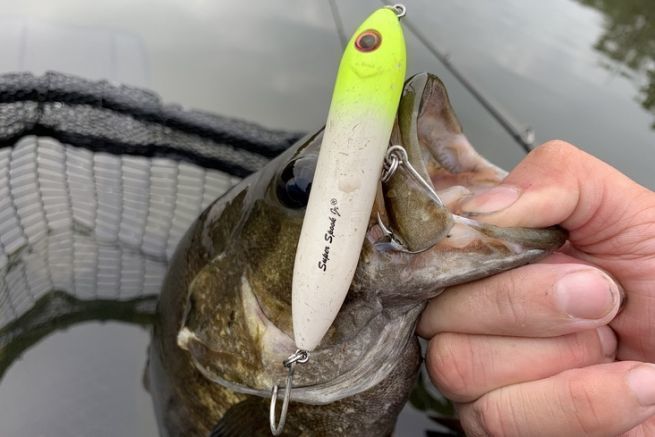 The surface sticks are well suited to single hook rigs.
