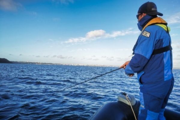 HY concept lead heads for sea bass fishing in traction