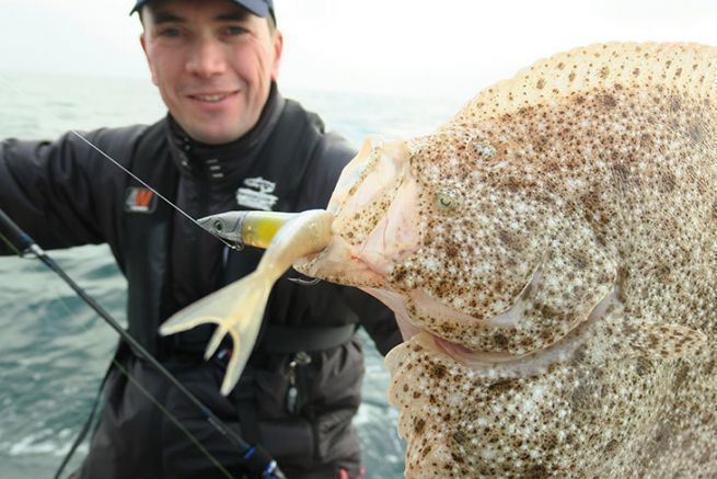 Fishing for turbot with lures, a fight that can be violent