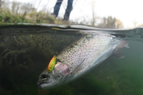 The practice of the area in France, a fishing that attracts more and more followers