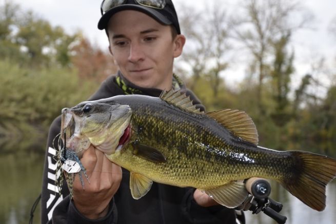 Master black bass fighting to increase your success