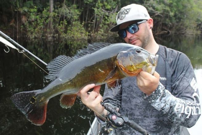 An XH casting rod is ideal for fishing for peacock bass!