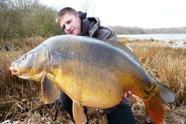 Winter carp fishing: the rules for success