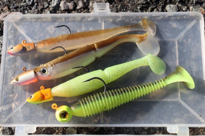 Vertical pike-perch fishing: adapt lure color to light conditions