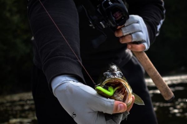 Frog fishing with Soft Body lures, target predators