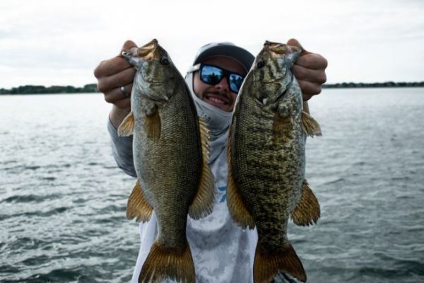 Frog fishing with Hollow Body lures, some nice surprises