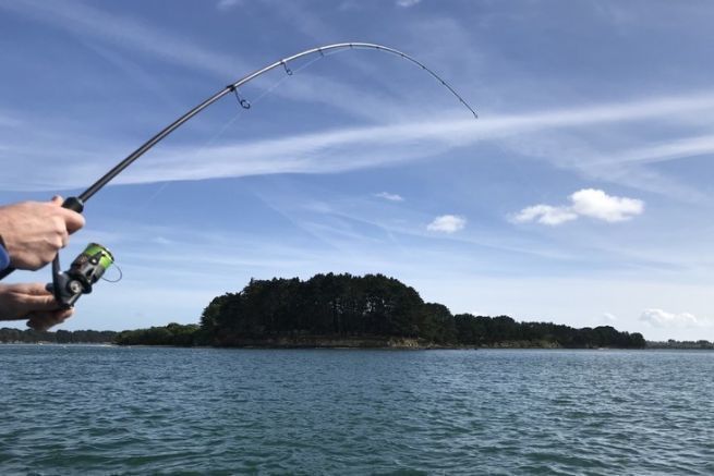 Choosing rings according to use and needs