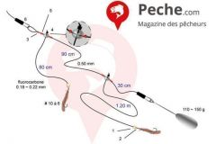 Mediterranean night surfcasting