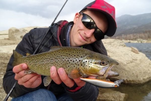 Trout fishing with a sinking jerkbait
