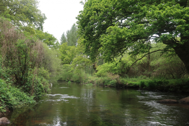 Which fly fishing technique to use at the beginning of the season?