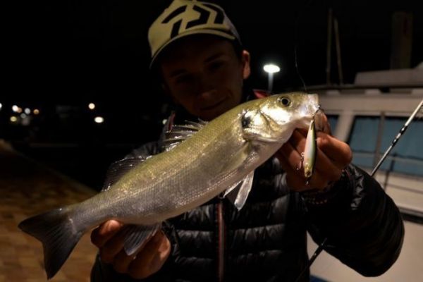 Night fishing with lures from the shore in the Mediterranean, a