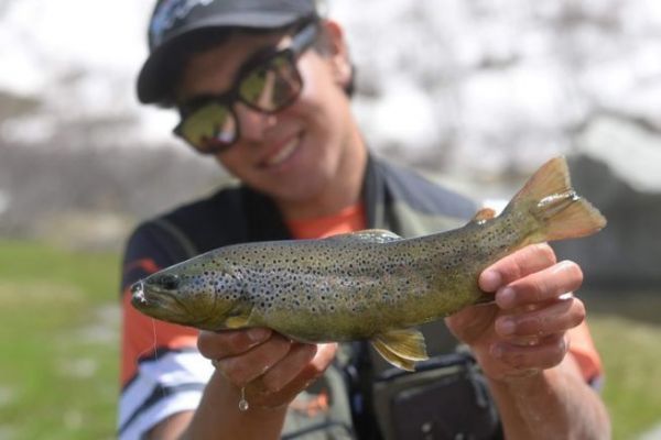 Trout with soft lures: recognize the different types of lures