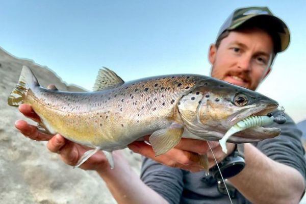 Trout fishing with soft lures, understanding and making a success of animations