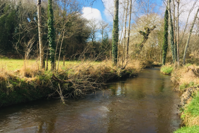 Report of my fly fishing opening in the river