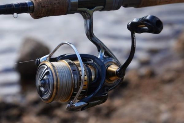 Customize your spinning reel, a multitude of possibilities