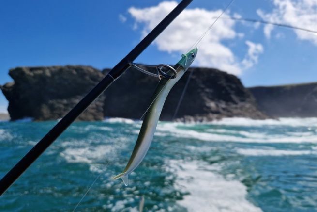 Which lures to choose to track sea bass in near shore areas ?