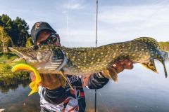 A nice opening pike caught on sight at the Neo Frog