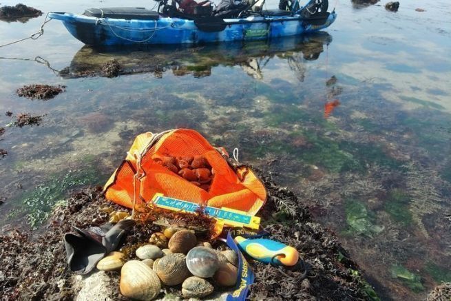 The fishing kayak, an efficient tool to go foraging on the foreshore