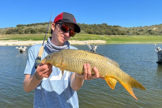 On the way to Spain, between the sun and the rain, the fishes are getting active