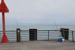 Fishing out of ports and on dikes