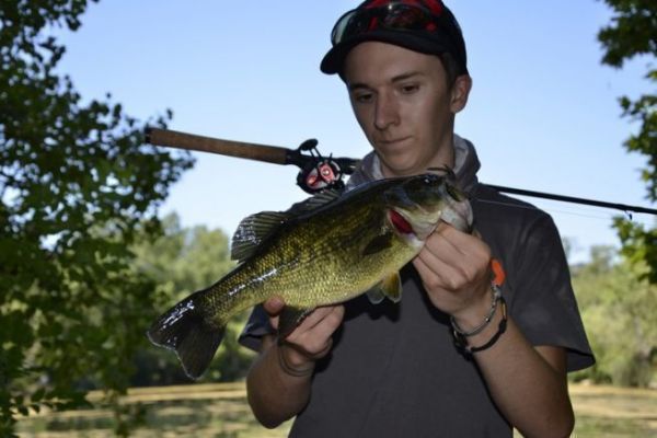 Effective summer sight-fishing for black bass