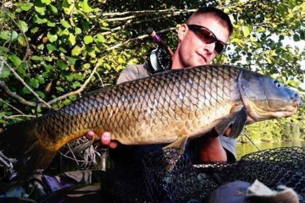 Summer carp fishing, the essential approaches to success