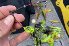 The spinner flex is a spinner bait with many advantages