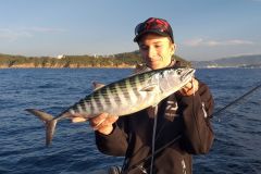 The different techniques of fishing for pelagic