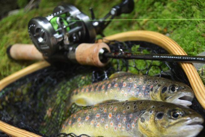 What are the advantages and disadvantages of fishing for trout with  baitfiness?
