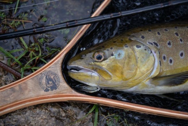 Trout fishing with a lure, why use a landing net ?