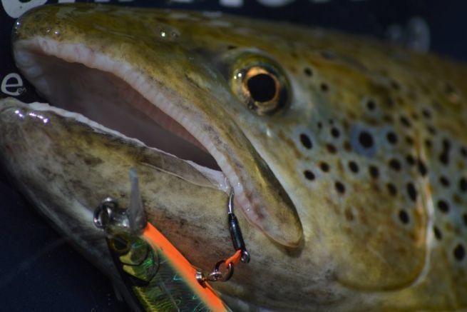 13 fishing freefall ghost radioactive pickle reel lh 13 Fishing BBFFGWRP2.5-LH Black Betty Freefall Ghost Radioactive Pickle Ice  Reel 2.5:1 Gear Ratio