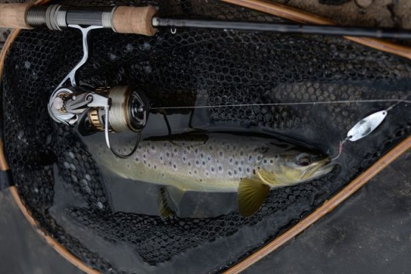 Choosing the right reel ratio for trout lure fishing