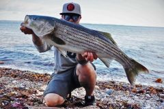 Quebec and New Brunswick, two destinations for striped bass fishing