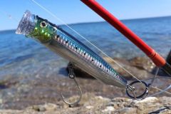 The feed popper 135, a good lure for striped bass!