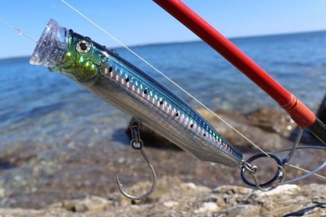 The feed popper 135, an easy to use popper that tolerates waves well!