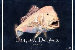 Denti