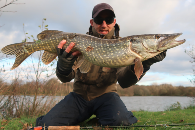 A nice pike taken from the shore on a large articulated fly